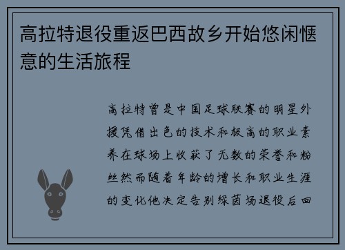 高拉特退役重返巴西故乡开始悠闲惬意的生活旅程